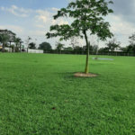 Rancho com 12 dormitórios à venda, 63000 m² por R$ 7.500.000,00 - Condomínio Haras Paineiras - Salto/SP