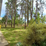 Apartamento à venda com 2 quartos em Jardim Arpoador, São Paulo, SP
