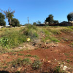 Terreno à venda em Jardim Coimbra, Ponta Porã, MS