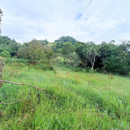 Terreno à venda em Residencial Reserva da Mata, Itapetininga, SP