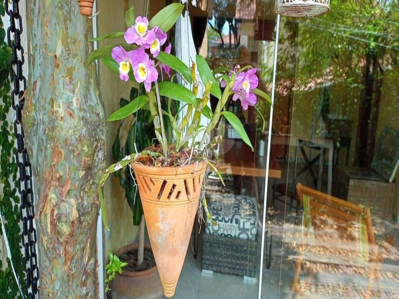 Casa à venda com 3 quartos, sendo 1 suíte,  em Vila Monumento, São Paulo, SP
