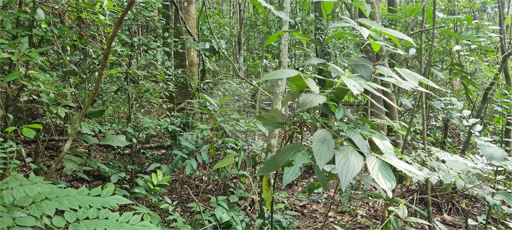 Terreno à venda em Caraguatá, Mairiporã, SP