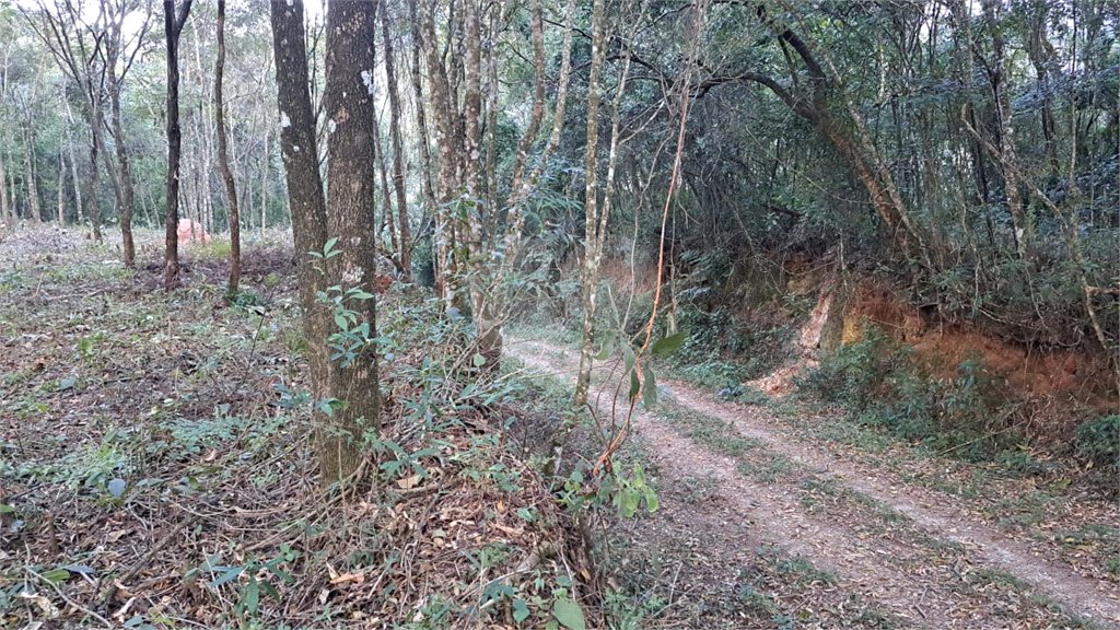 Terreno à venda em Roseira, Mairiporã, SP