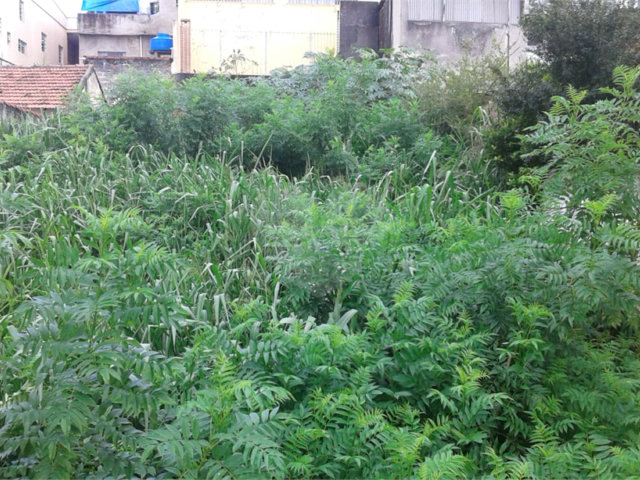 Terreno à venda em Imirim, São Paulo, SP