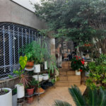 Casa à venda com 4 quartos, sendo 1 suíte,  em Mandaqui, São Paulo, SP