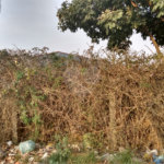 Terreno à venda em Jardim São João (zona Norte), São Paulo, SP