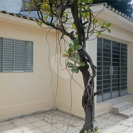 Casa à venda ou para alugar com 3 quartos, sendo 1 suíte, em Água Fria, São Paulo, SP