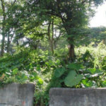 Terreno à venda em Vila Irmãos Arnoni, São Paulo, SP