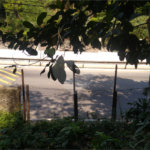 Terreno à venda em Vila Albertina, São Paulo, SP