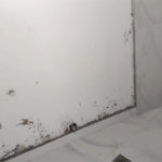 Sobrado à venda com 2 suítes em Jardim Bonfiglioli, São Paulo, SP
