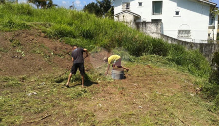 Terreno à venda em Jardim Leonor Mendes de Barros, São Paulo, SP