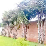 Terreno à venda no condomínio Estrada do Corisco,4929, São Paulo - SP
