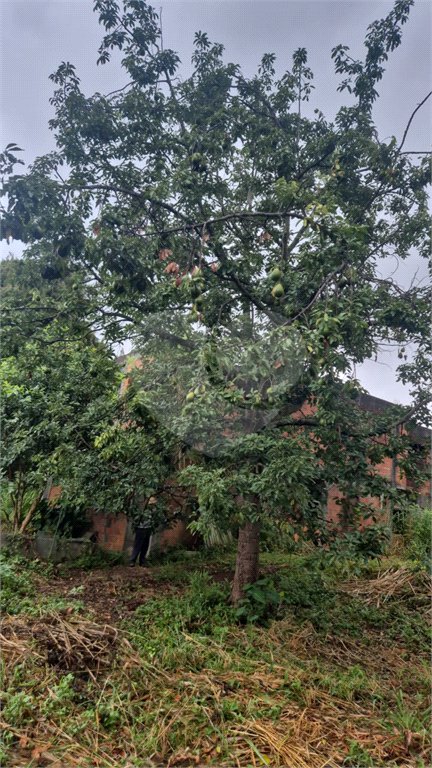 Terreno à venda ou para alugar em Horto, São Paulo, SP