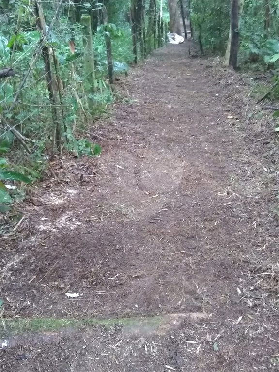 Área de Terra à venda em Jardim Cardoso (mailasqui), São Roque, SP