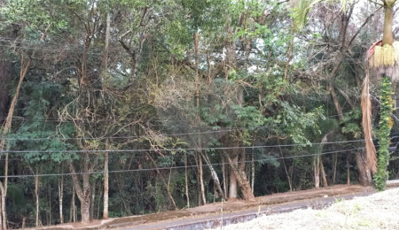 Terreno à venda em Jardim América, Bragança Paulista, SP