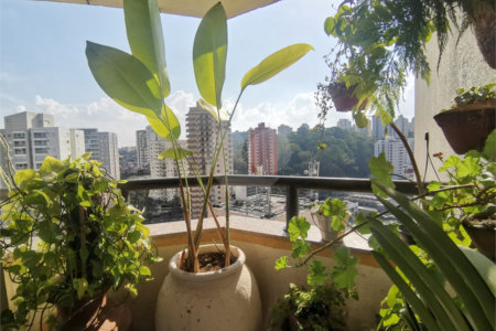 Apartamento à venda com 3 quartos, sendo 1 suíte, em Vila Andrade, São Paulo, SP