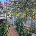 Casa à venda com 5 quartos em Mandaqui, São Paulo, SP