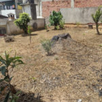 Casa à venda com 3 quartos, sendo 1 suíte, em Jardim São Pedro, Mogi das Cruzes, SP