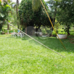 Sitio para venda.