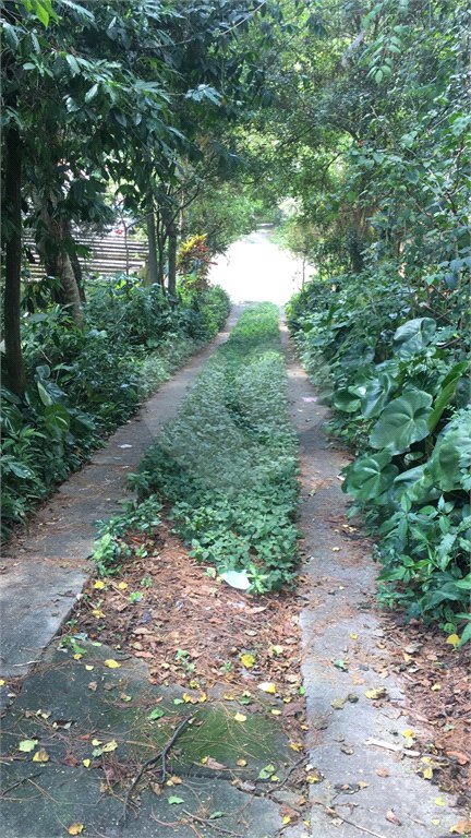 Terreno à venda ou para alugar em Horto, São Paulo, SP