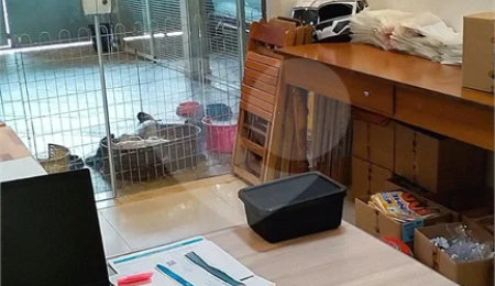 Sobrado à venda com 4 quartos em Jardim Nova Europa, Hortolândia, SP