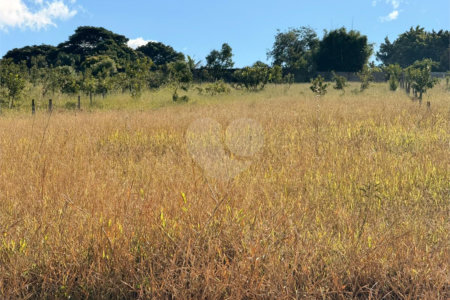 Terreno à venda em Vila Belo Horizonte, Itapetininga, SP