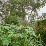 Terreno à venda em Morumbi, São Paulo, SP