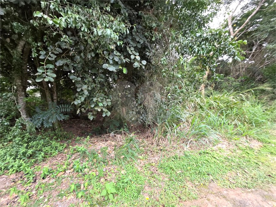 Terreno à venda em Caravelas, Armação dos Búzios, RJ