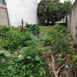 Terreno à venda com 1 suíte em Vila Constança, São Paulo, SP