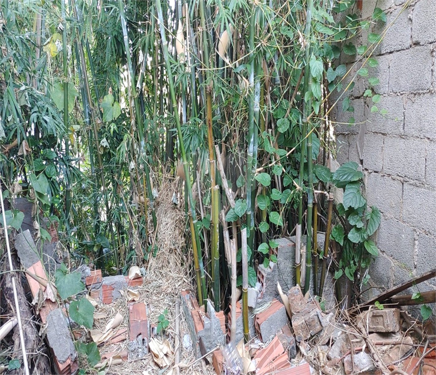 Terreno à venda em Freguesia do Ó, São Paulo, SP