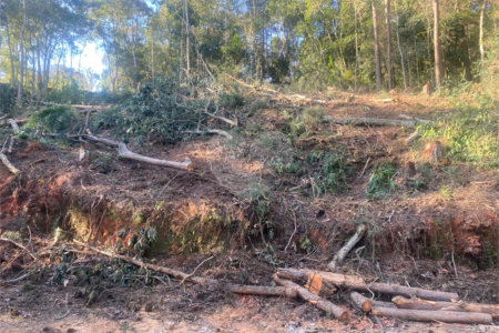 Terreno à venda no Centro (mailasqui), São Roque, SP