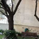 Apartamento à venda com 2 quartos em Vila Guarani (z Sul), São Paulo, SP