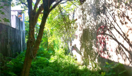 Terreno à venda em Santana, São Paulo, SP