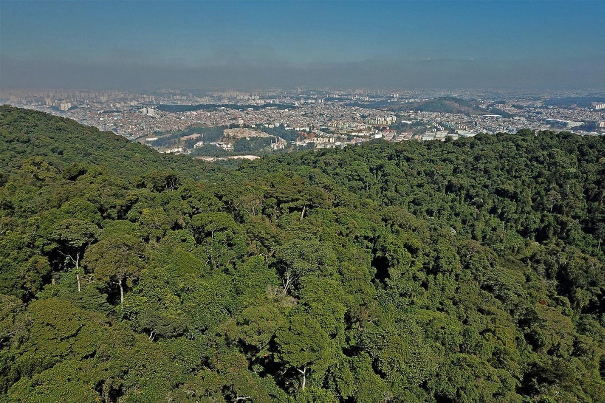 Condomínios na Serra da Cantareira: conheça os diferenciais de morar em meio à natureza com segurança