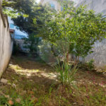 Sobrado à venda com 3 suítes em Vila Mazzei, São Paulo, SP