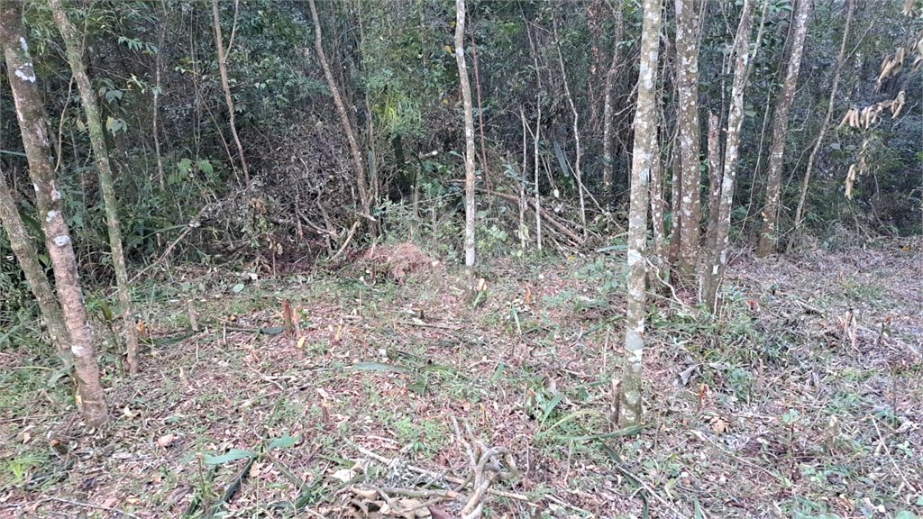 Terreno à venda em Serra da Cantareira, Mairiporã, SP