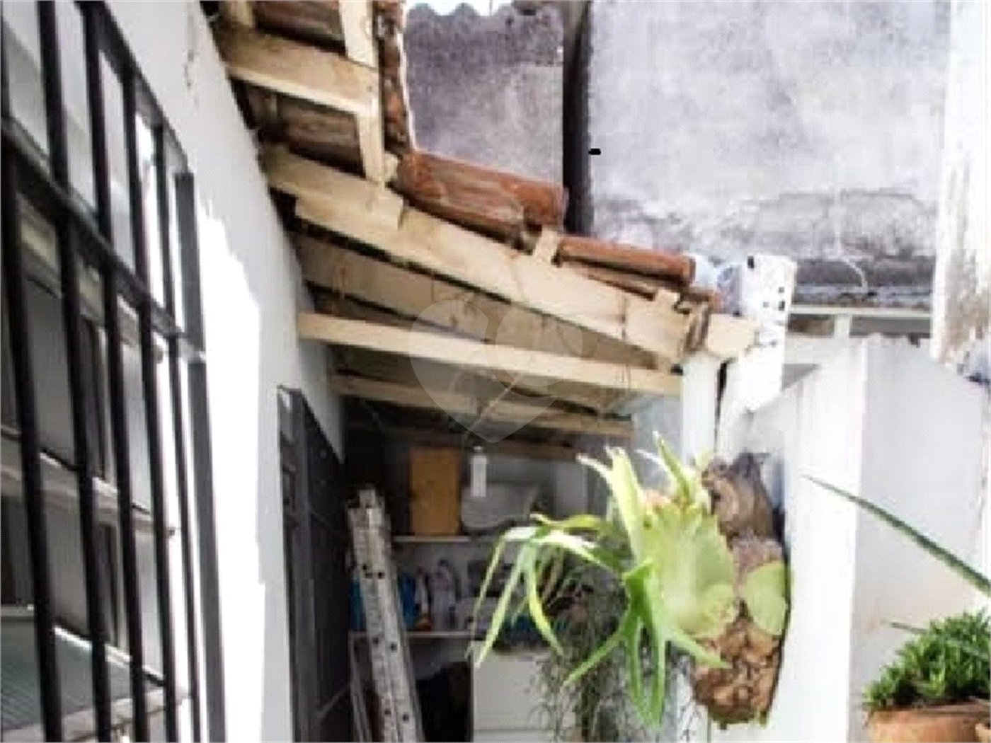Casa Térrea à venda com 2 quartos em Vila Maria, São Paulo, SP