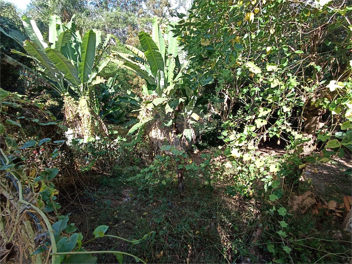 Casa à venda com 5 quartos, sendo 1 suíte, em Jardim Itália, Itapetininga, SP