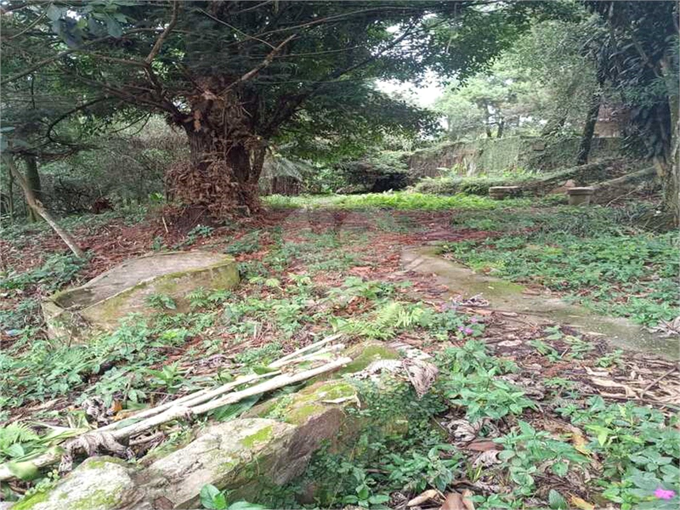 Terreno à venda no condomínio Associação Reserva das Hortênsias, Mairiporã - SP