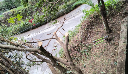 Casa à venda com 4 suítes em Vila Morumbi, São Paulo, SP