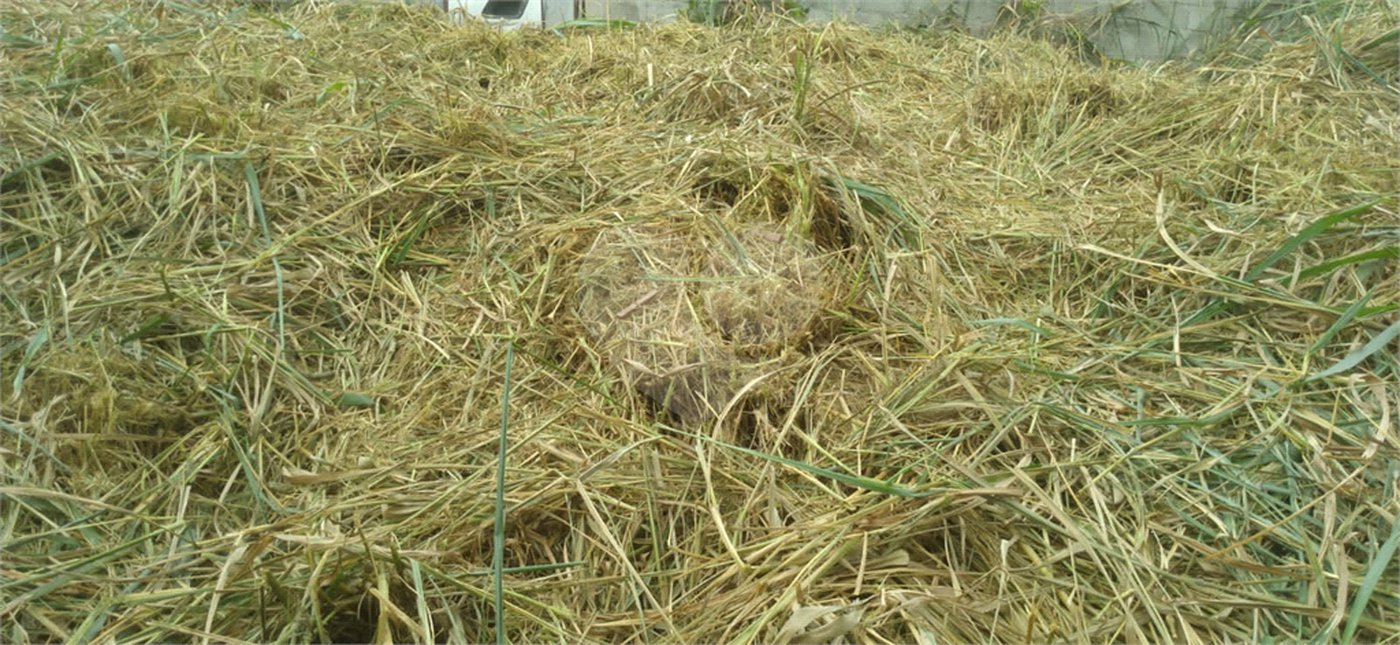 Terreno à venda em Jardim do Trevo, Atibaia, SP