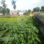 Terreno à venda em Vila Oliveira, Mogi das Cruzes, SP