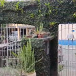 Sobrado à venda com 3 quartos, sendo 1 suíte, em Vila Vessoni, São Paulo, SP