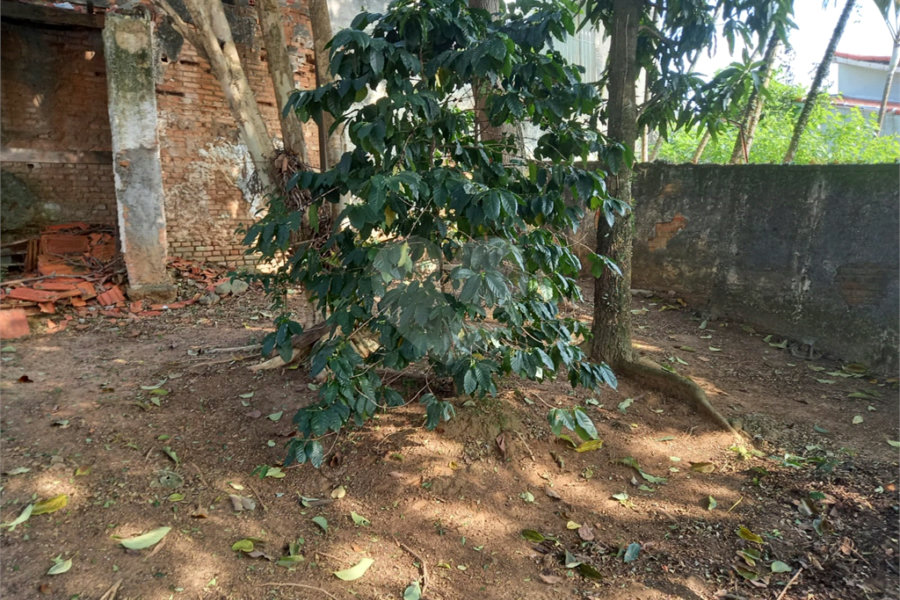 Casa à venda com 3 quartos, sendo 1 suíte, em Jardim França, São Paulo, SP