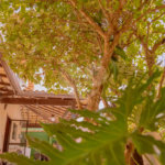 Casa à venda com 7 suítes em Bosque de Geribá, Armação dos Búzios, RJ