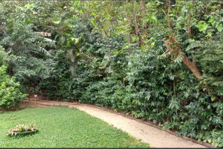 Apartamento à venda com 2 suítes em Parque do Morumbi, São Paulo, SP