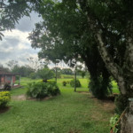 SÍTIO À VENDA EM ELIAS FAUSTO 21.900 m² - ÓTIMA TOPOGRAFIA E EXCELENTE LOCALIZAÇÃO