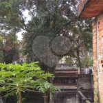 Casa à venda com 6 quartos em Horto, São Paulo, SP