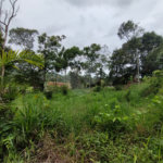 Terreno à venda em Vila Moraes, Mogi das Cruzes, SP