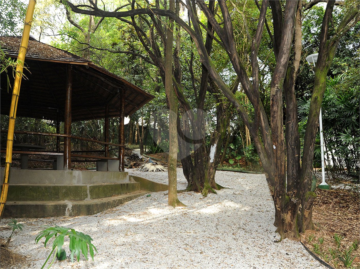 Vila Arboreto, 3 suítes, terraço gourmet. lindo!